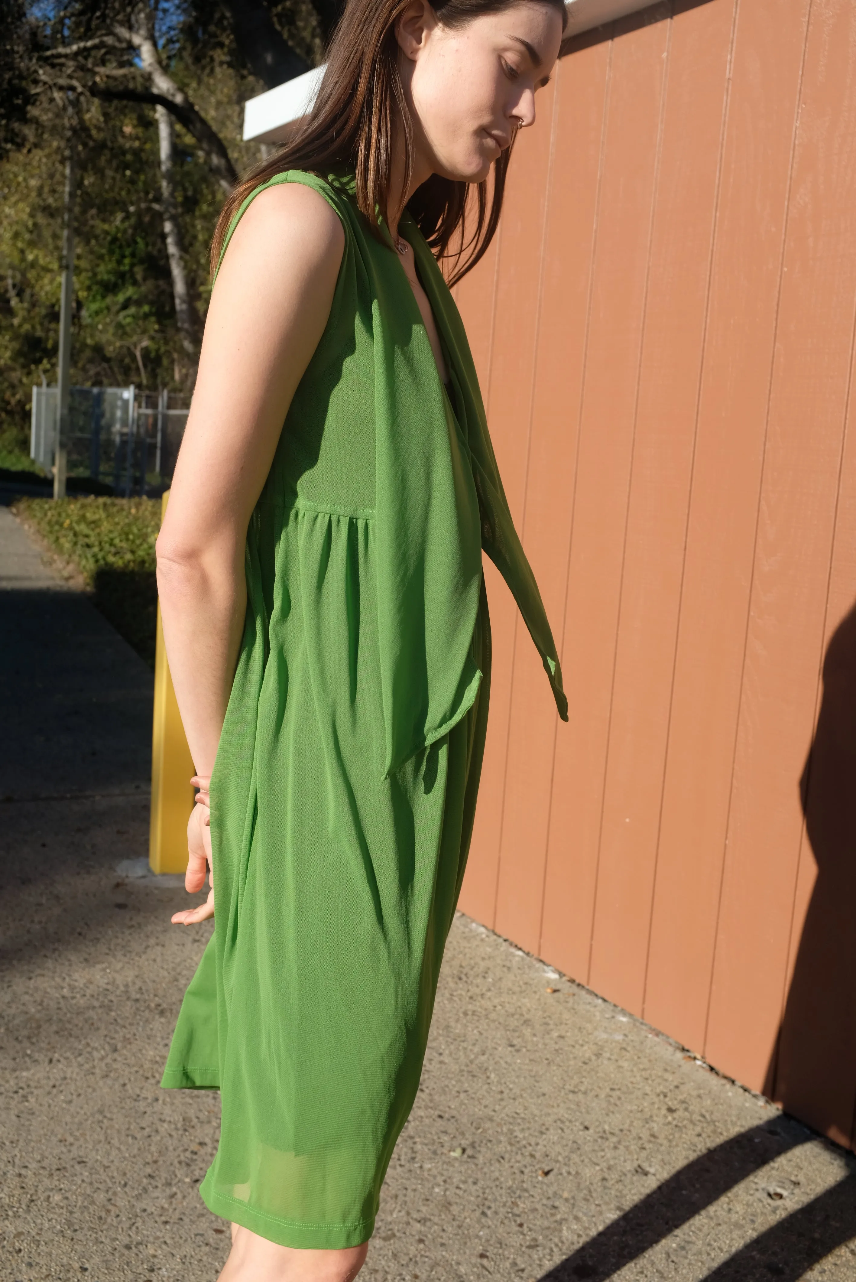 Beklina Nuevo Famoso Dress Plant
