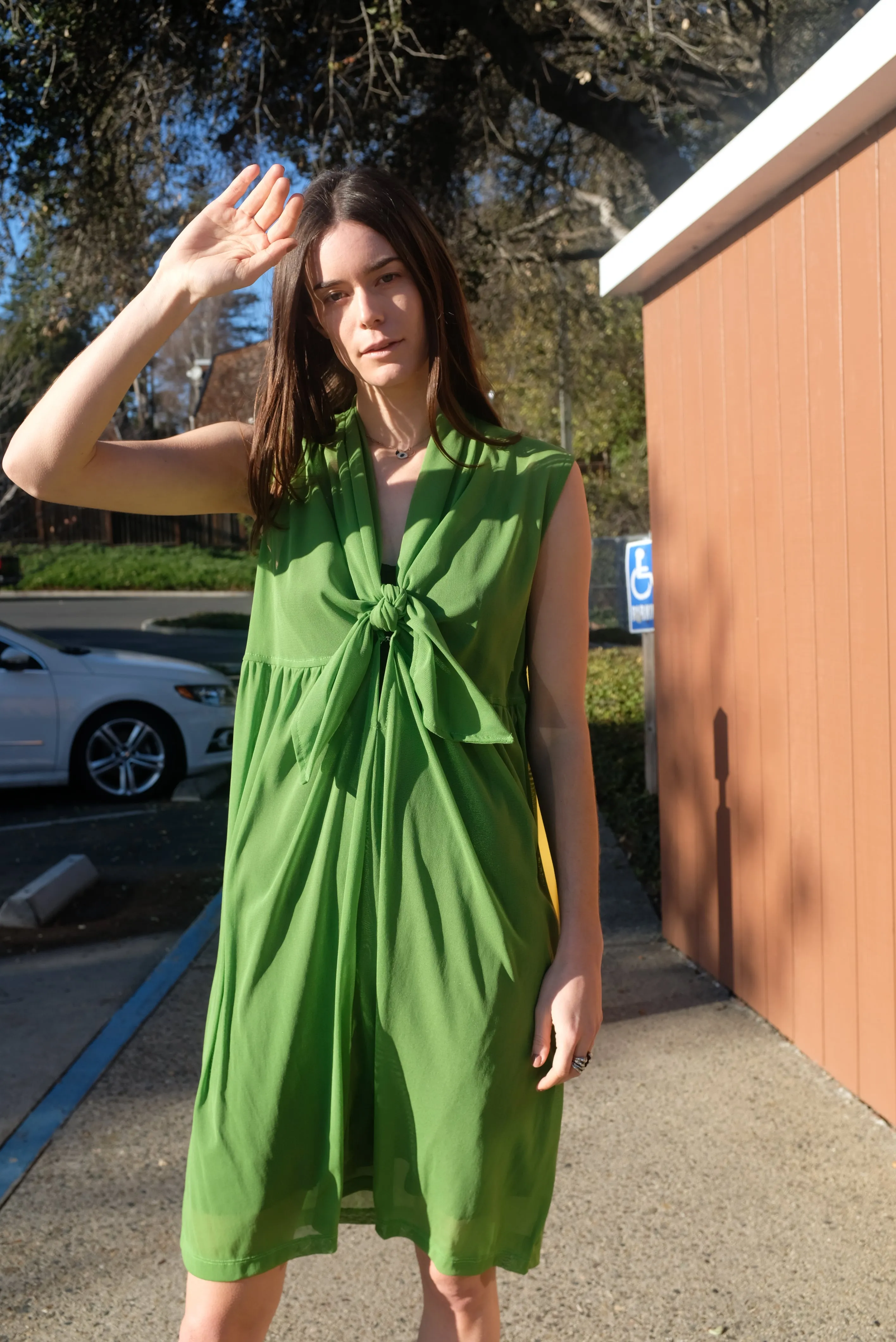Beklina Nuevo Famoso Dress Plant