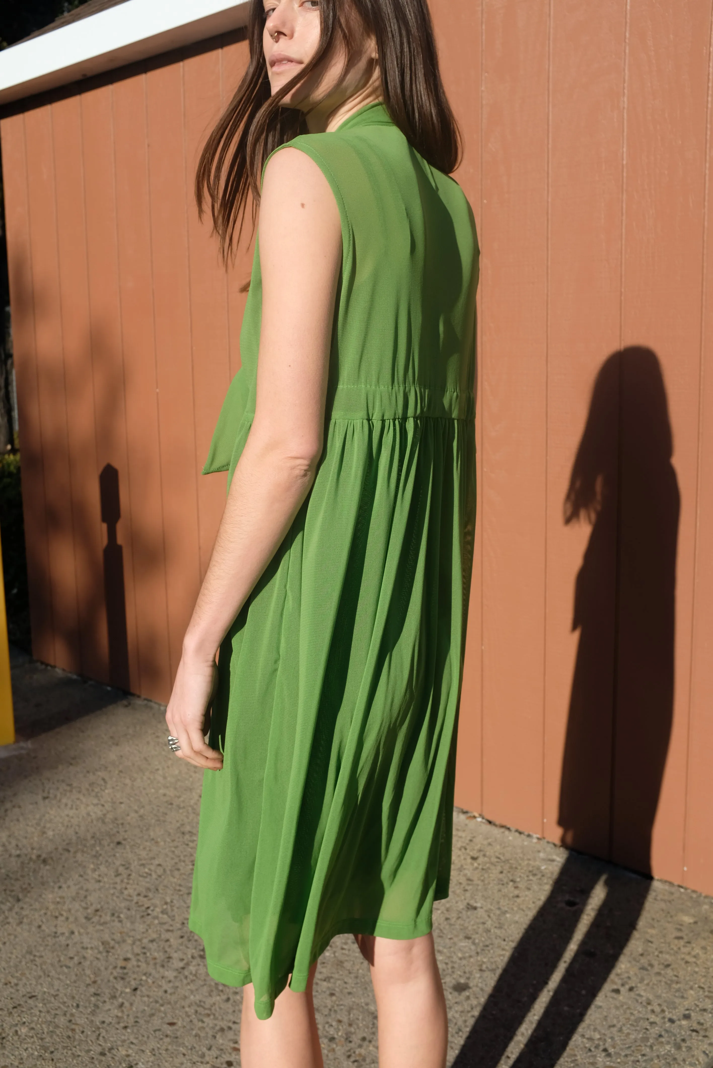 Beklina Nuevo Famoso Dress Plant