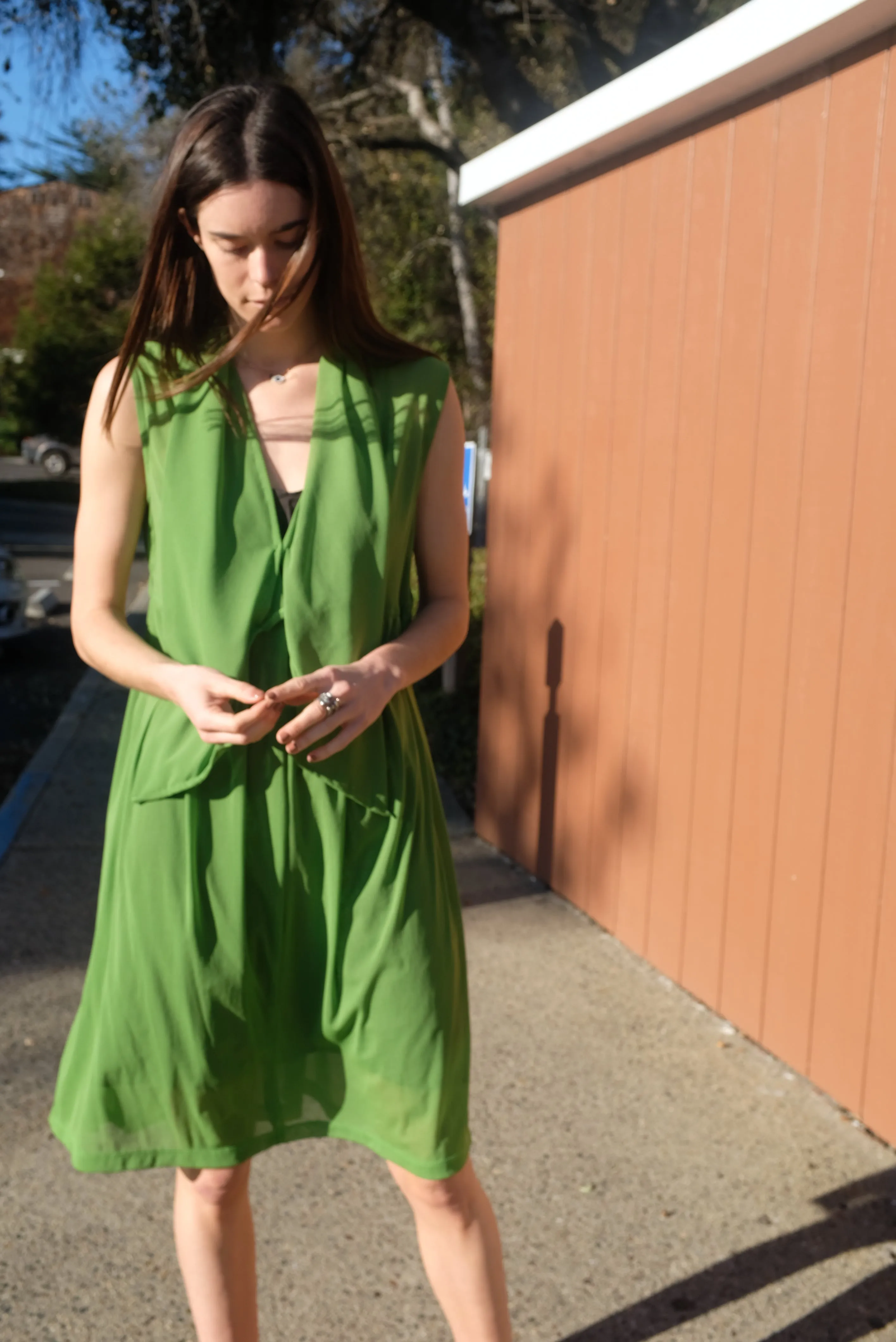Beklina Nuevo Famoso Dress Plant