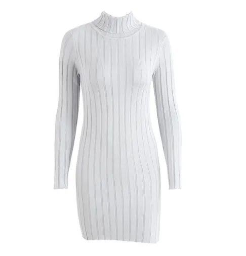Casual Turtleneck Long Knitted Dress | Slim Bodycon Dress