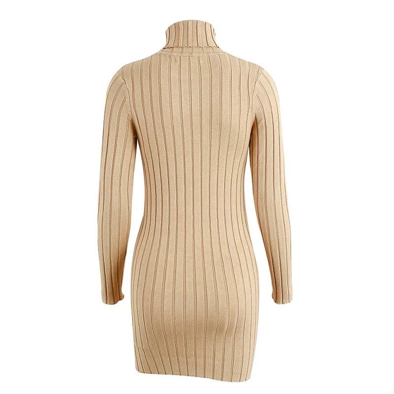 Casual Turtleneck Long Knitted Dress | Slim Bodycon Dress