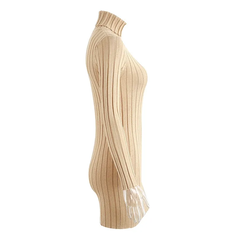 Casual Turtleneck Long Knitted Dress | Slim Bodycon Dress