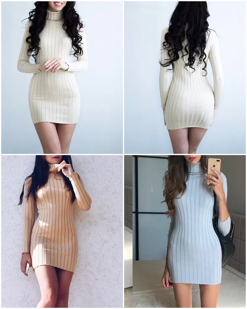 Casual Turtleneck Long Knitted Dress | Slim Bodycon Dress
