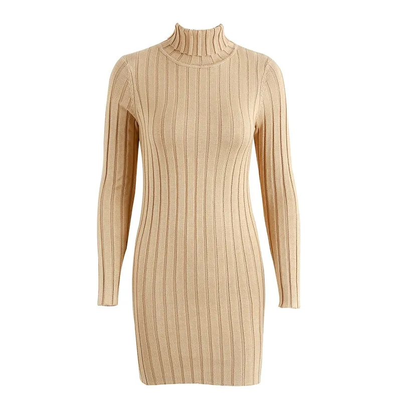 Casual Turtleneck Long Knitted Dress | Slim Bodycon Dress