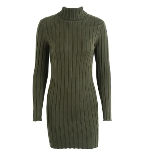 Casual Turtleneck Long Knitted Dress | Slim Bodycon Dress